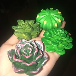 Succulent Magnets